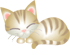 猫は人間を冷静に観察しています